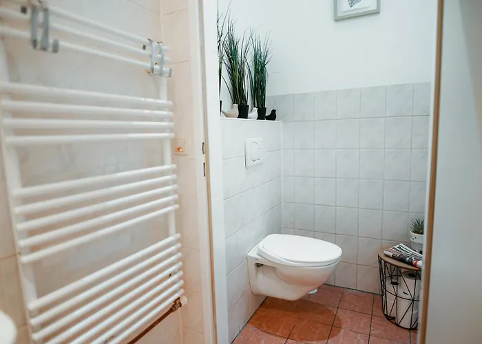 Raimond 27 *